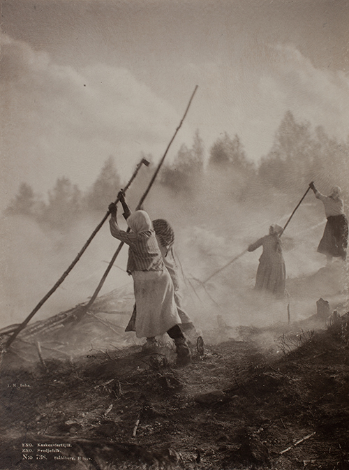 Svijordbruk i Finland 1892.